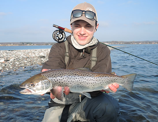 Sea trout fishing at our lodge. Omar Gade fishing guide holding a nice brown sea trout from Fyn