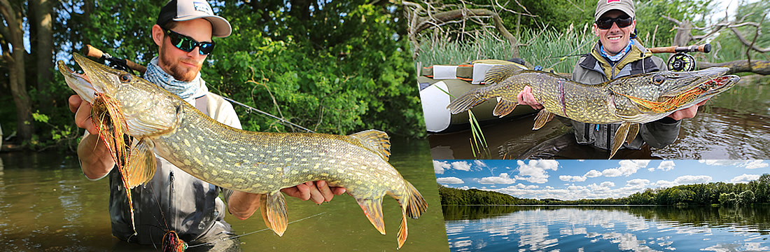 denmark fishing lodge pike flyfishing