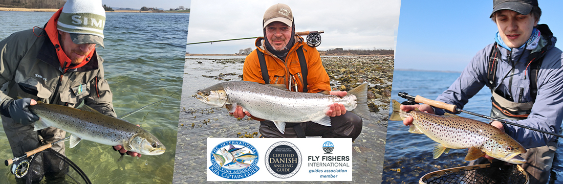 sea trout best spots fyn lodge